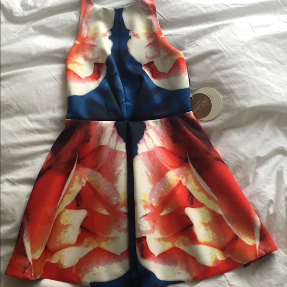 Keepsake The Label fit and flare dress - Picture 2 of 4