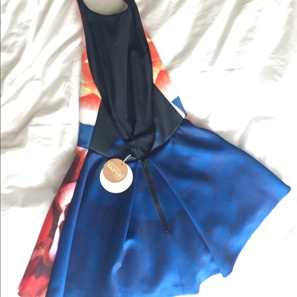 Keepsake The Label fit and flare dress - Picture 4 of 4