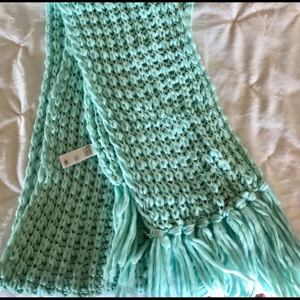 Long mint knit scarf with silver accents!