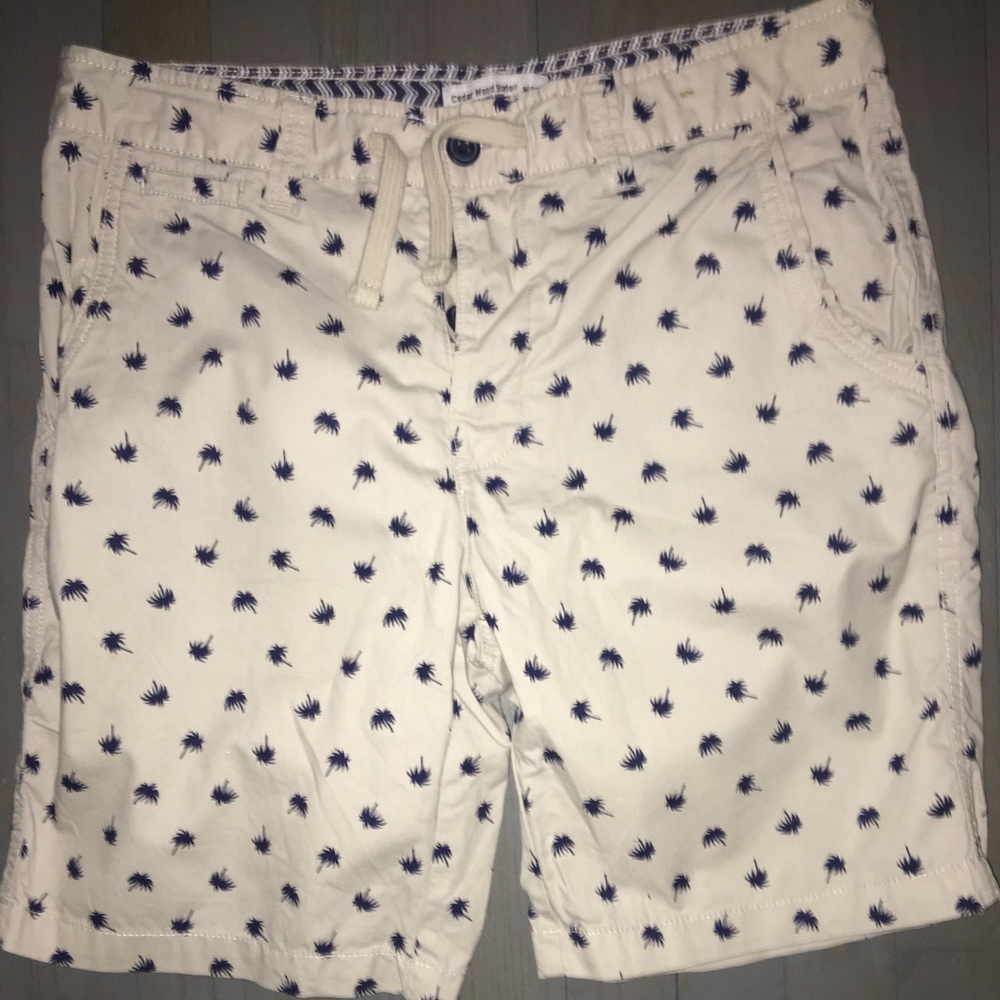 Men's Palm Tree Shorts