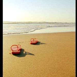 Meet your Posher, Dione