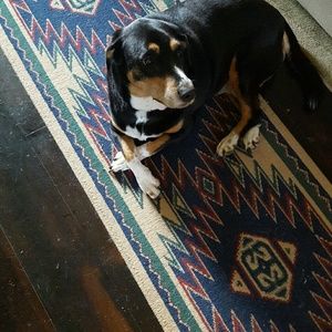 Meet your Posher, Brandy