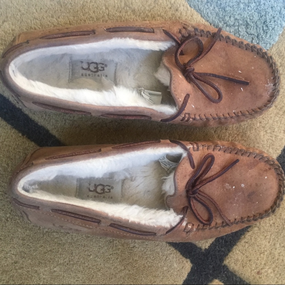 Ugg Dakota Women's Wool Moccasins