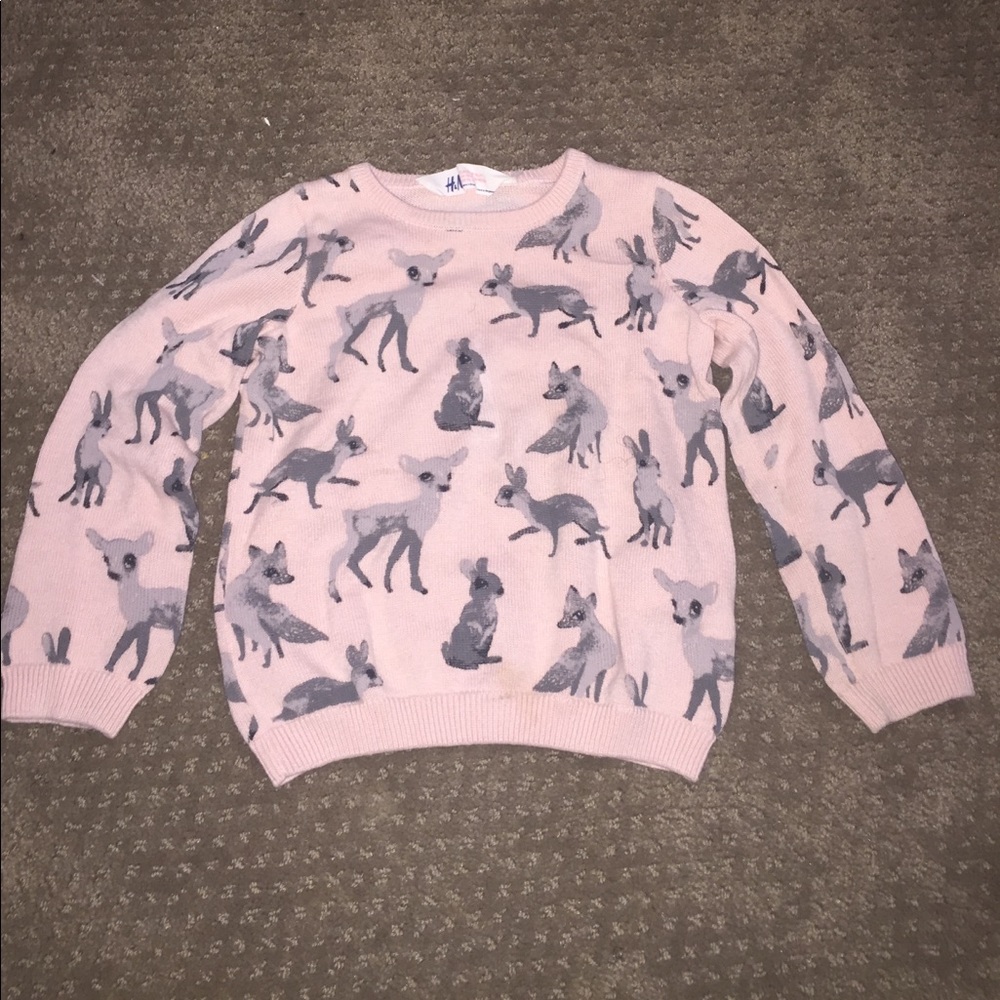 H&M Girls sweater