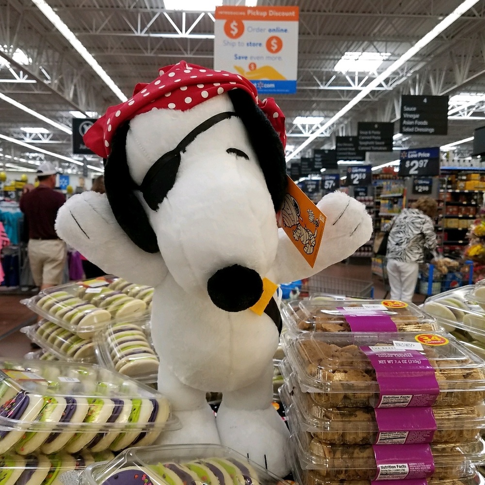 Meet your Posher, Jodie