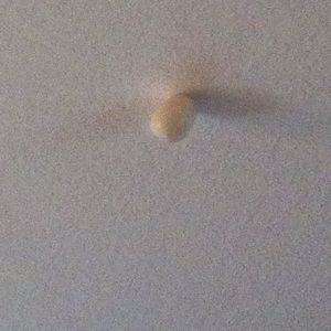 Meet your Posher, Ron