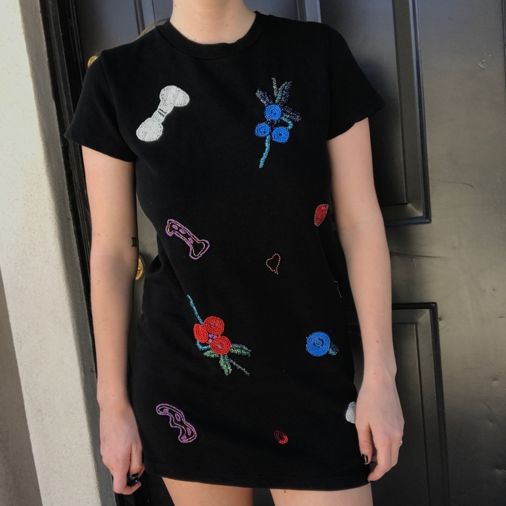Zara Trafaluc embroidered dress