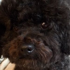 Meet your Posher, Kathy