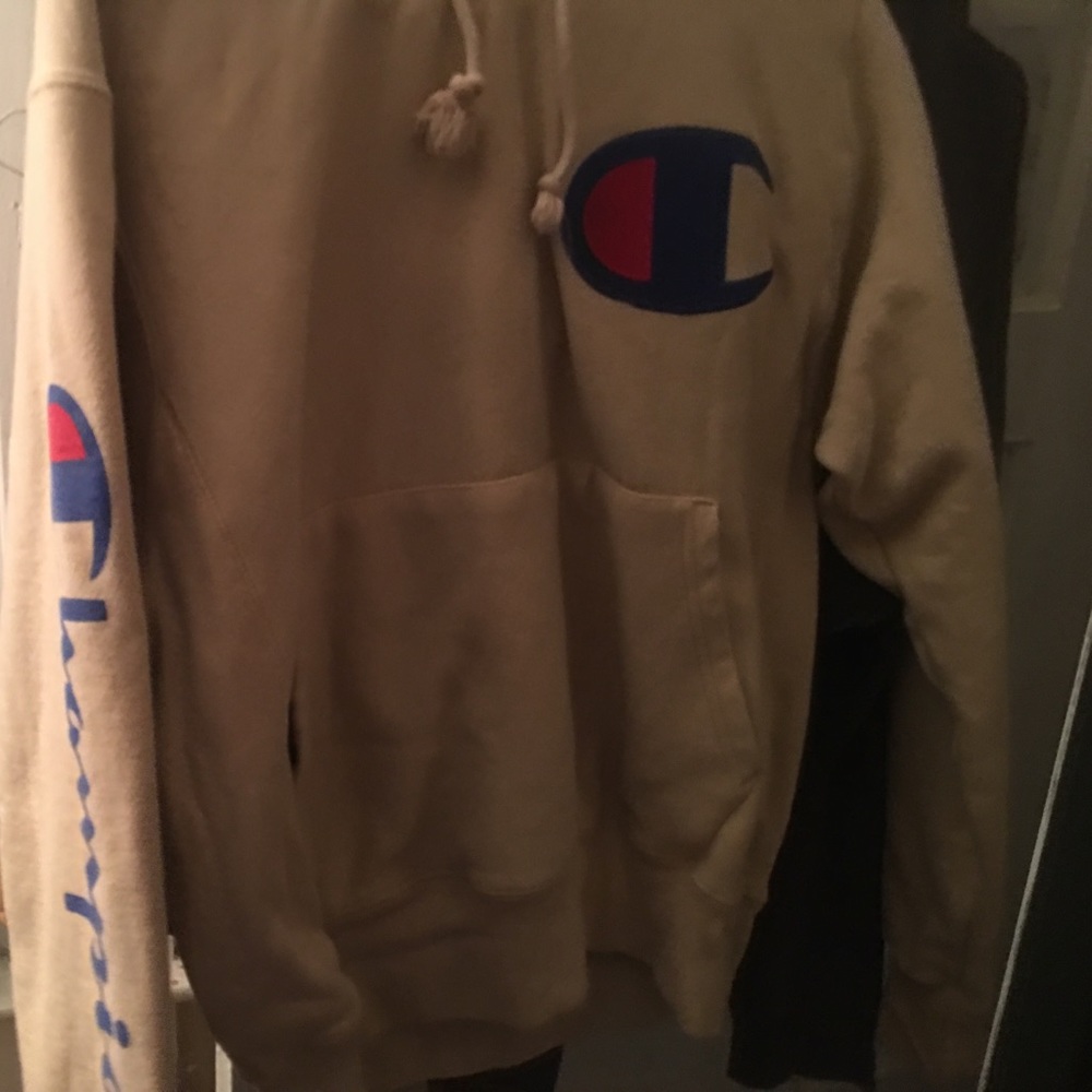 Champion sweater