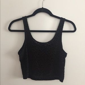 Leopard Print Sheer Crop Top