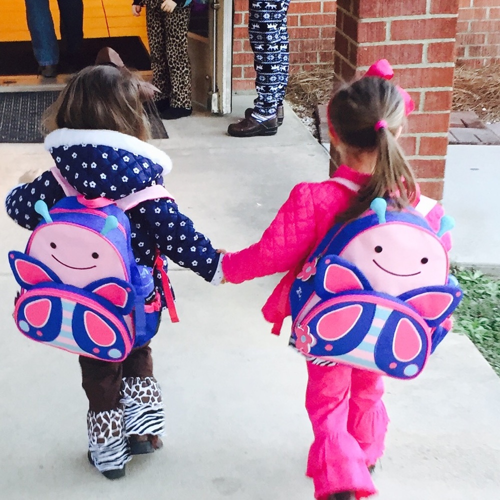 Skip Hop butterfly toddler book bags