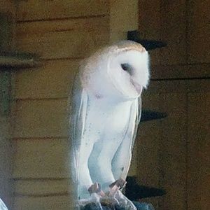 Meet your Posher, Cathryn