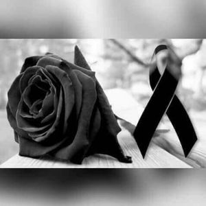 Meet your Posher, Kar