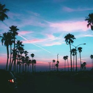 Meet your Posher, Zoe