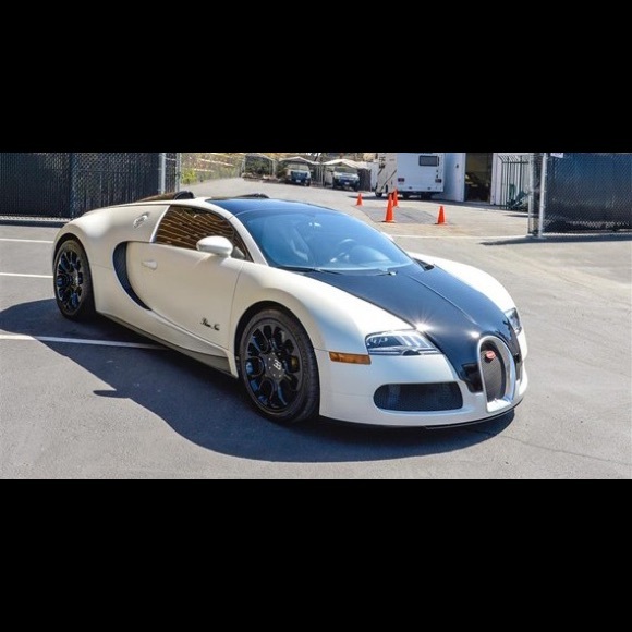 Meet your Posher, Jagger - Picture 1 of 1