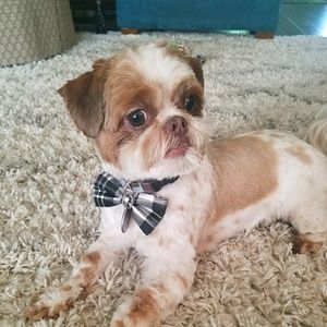 Meet your Posher, Karin