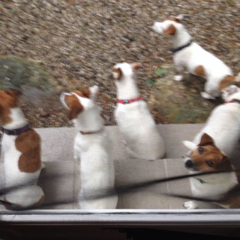 Meet your Posher, Laura