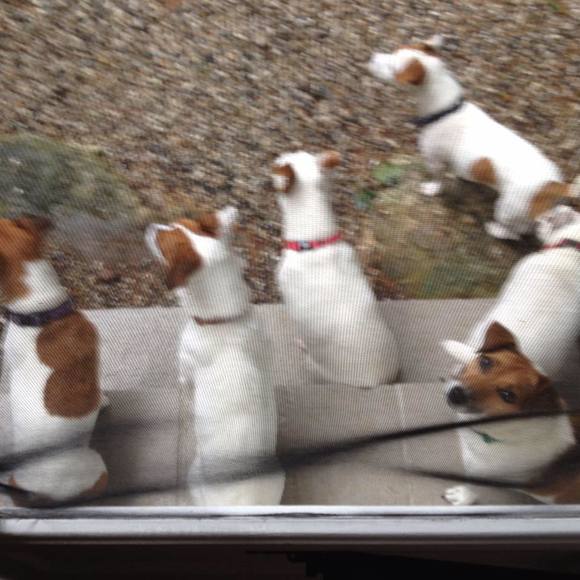 Meet your Posher, Laura - Picture 1 of 1