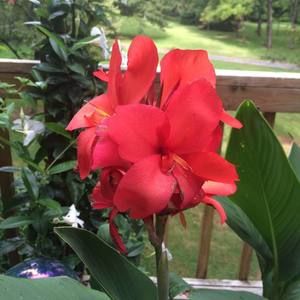 Meet your Posher, Vicki