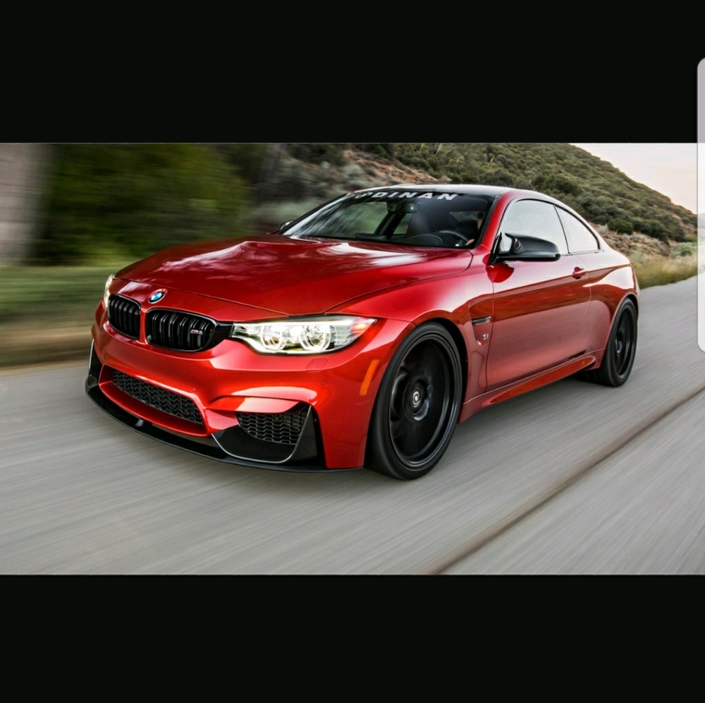 Meet your Posher, Freddy