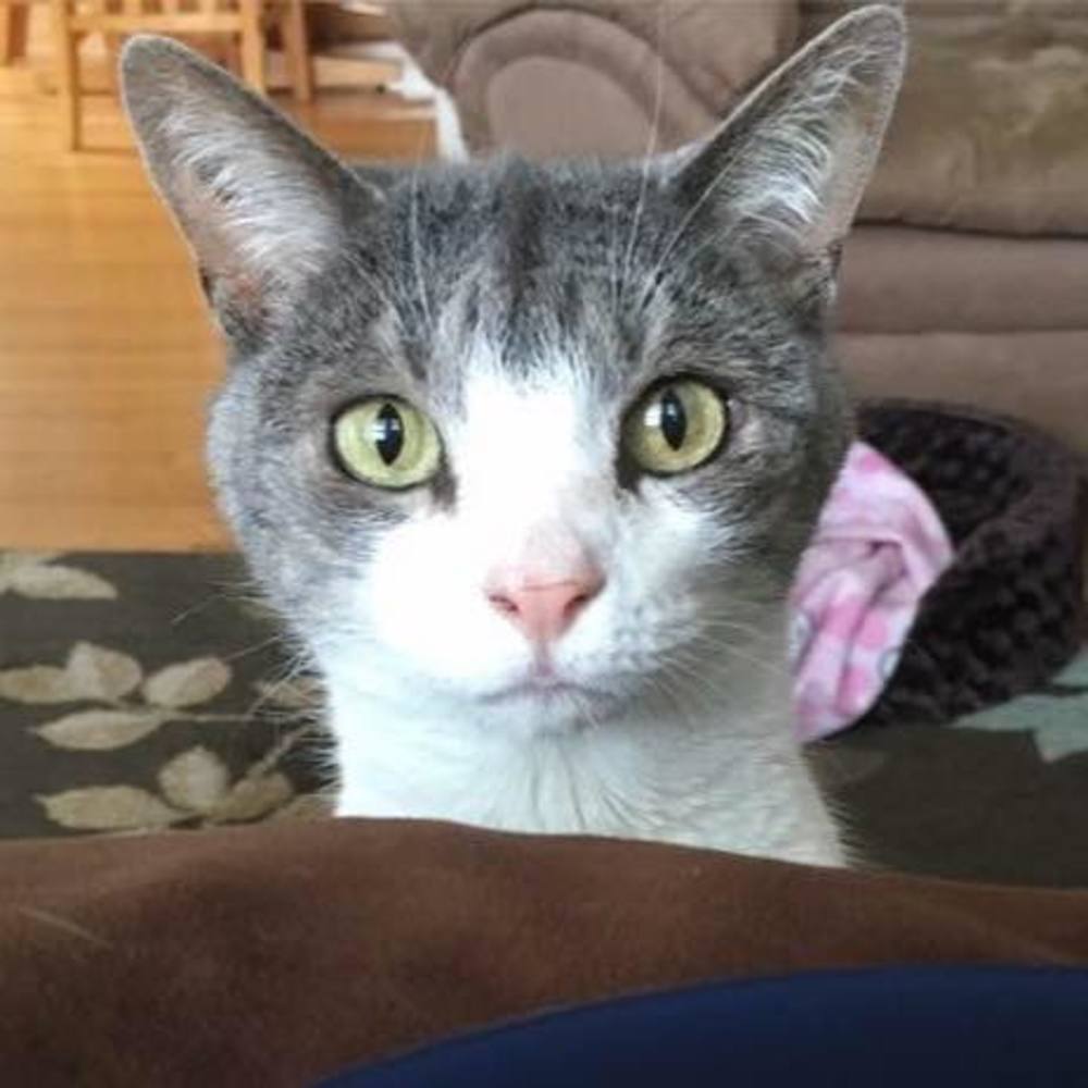 Meet your Posher, Kim