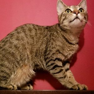 Meet your Posher, Eve