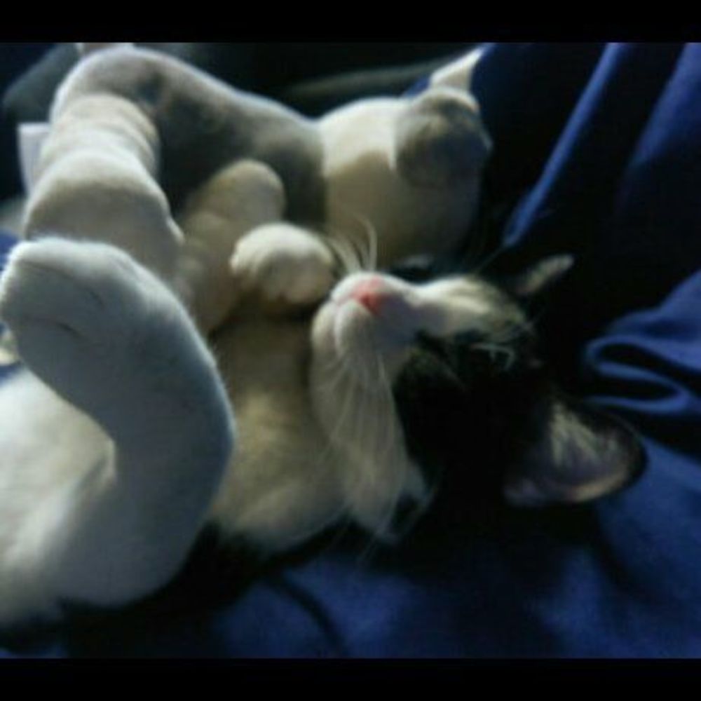 Meet your Posher, Emily