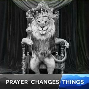 Meet your Posher, Kurt