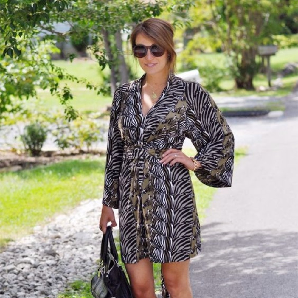 Banana Republic Zebra Print Dress