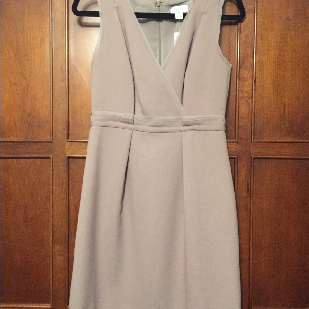 NWT Taupe Dress