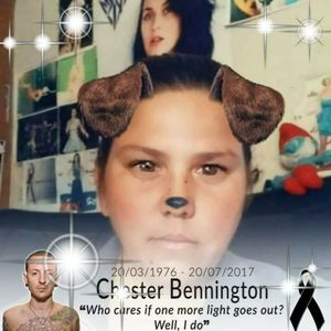 Meet your Posher, Desireé