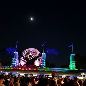 Meet your Posher, Violeta