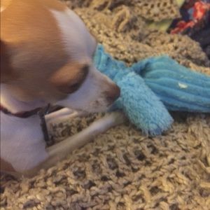 Meet your Posher, Alejandro