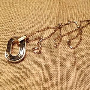 Michael Kors Tortoise Goldtone Link Necklace EUC