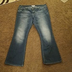 Plus Size Women's Medium/Light Wash Bootcut Jeans