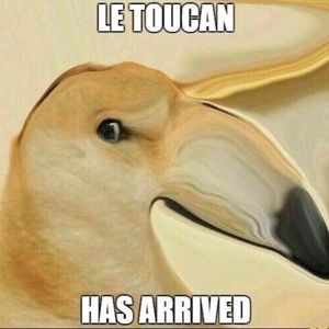 Meet your Posher, Andrew