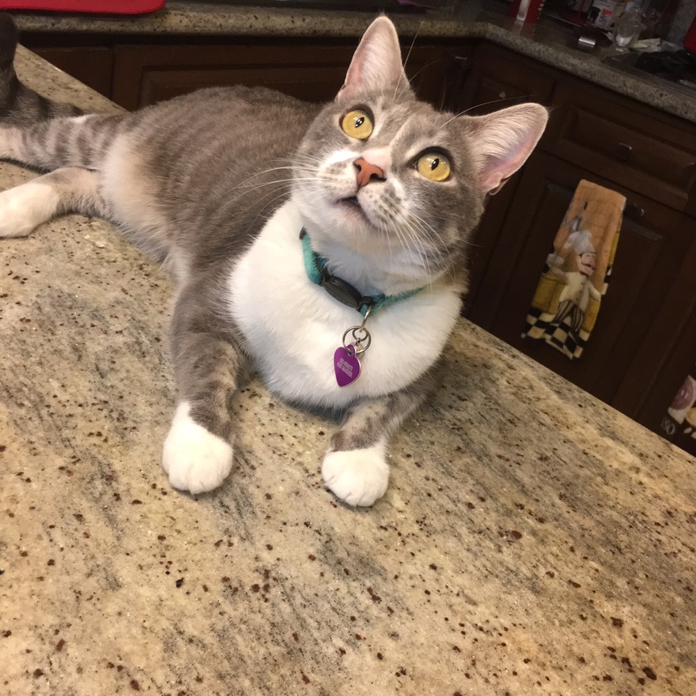 Meet your Posher, Jessica