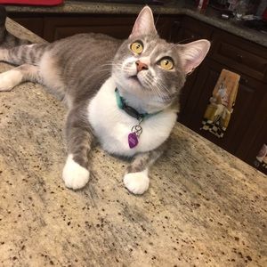 Meet your Posher, Jessica