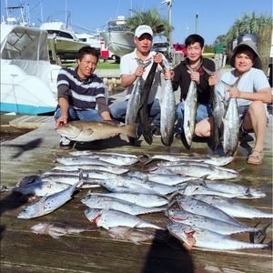 Meet your Posher, Dan