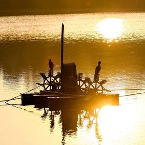 Meet your Posher, Cornelius