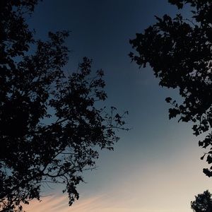 Meet your Posher, Julienne