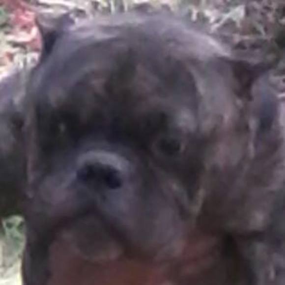 Meet your Posher, Kidd - Picture 1 of 1