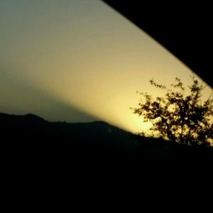 Meet your Posher, Marlene