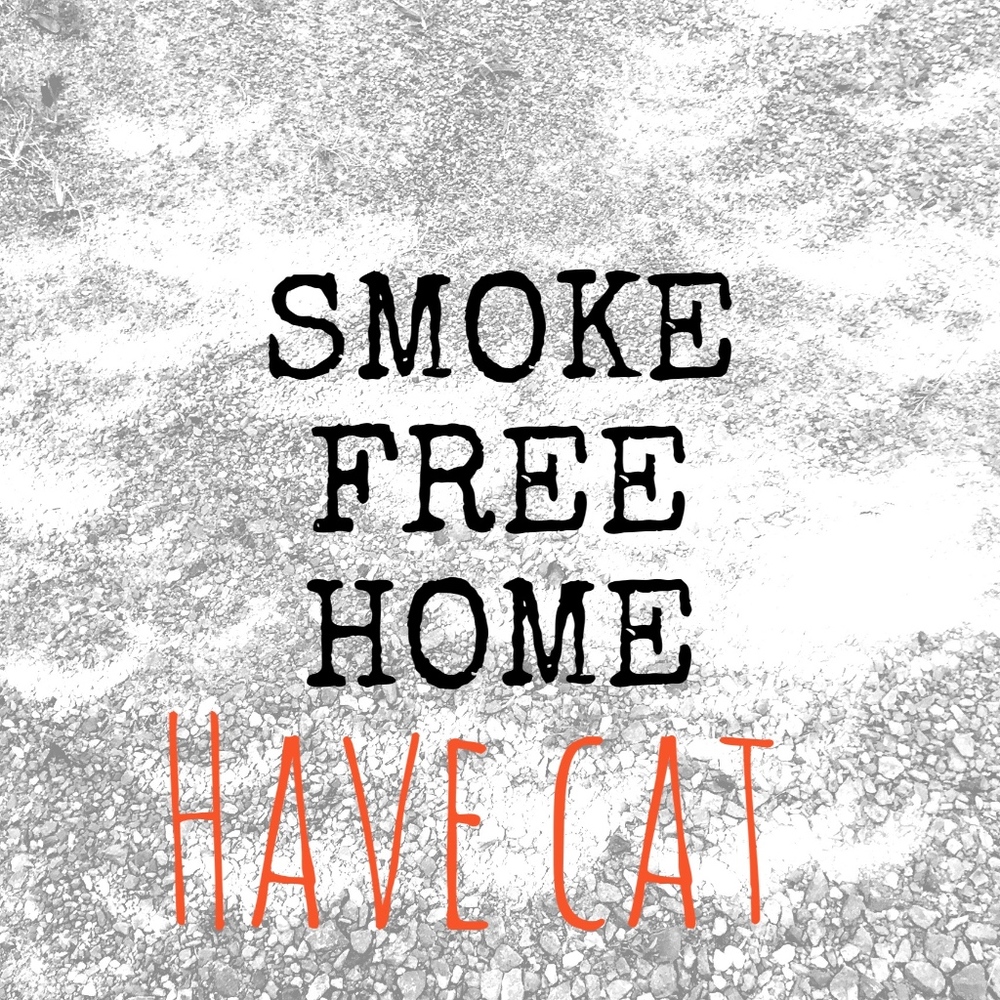 smoke no - cat yes