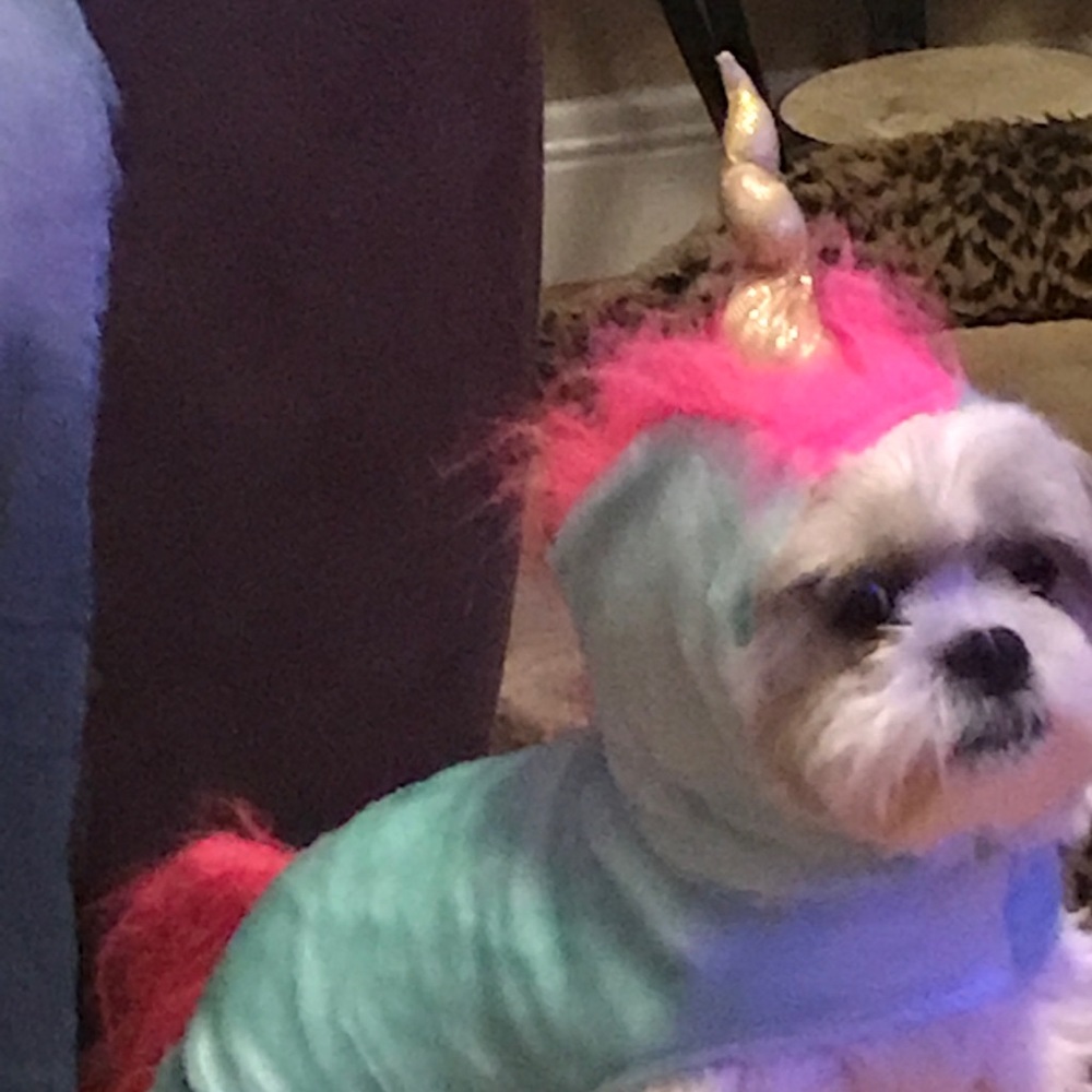 Meet your Posher, Victoria