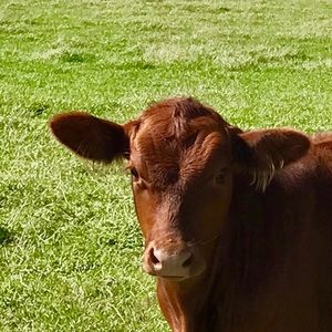 Meet your Posher, Michaela