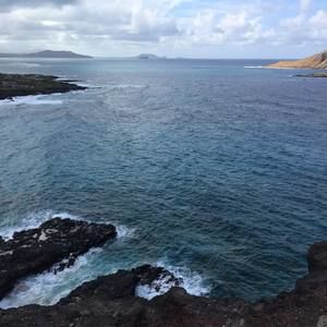 Meet your Posher, Yingqi