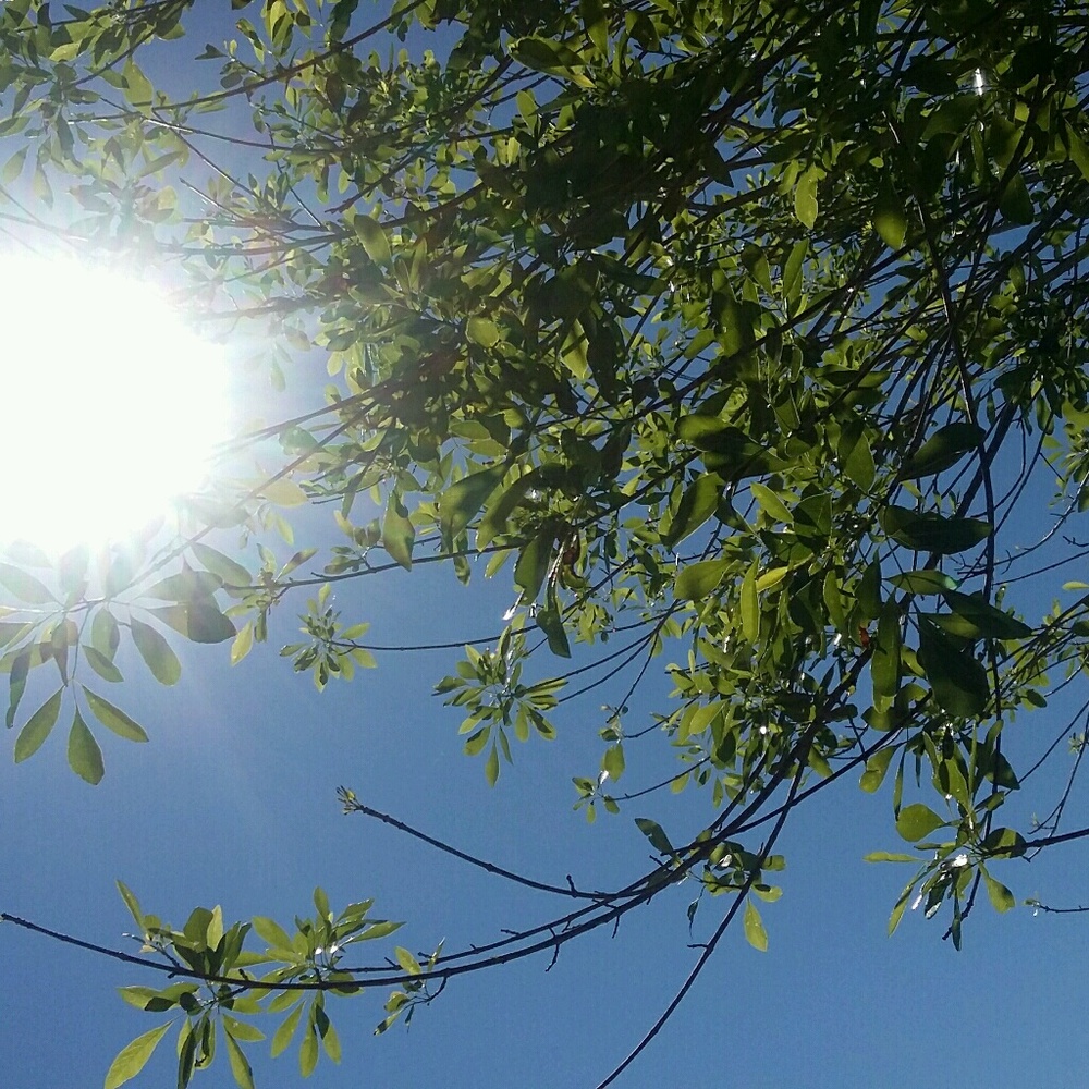 Meet your Posher, Rita