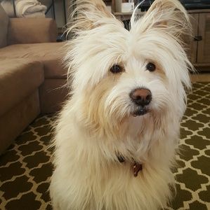 Meet your Posher, Amy