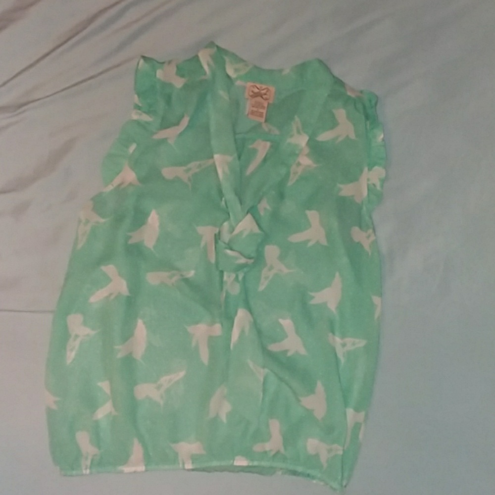 Light teal humming bird pattern blouse